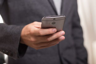 kaiyun app download-智能健身设备用户体验优化路径分析，健身智能系统