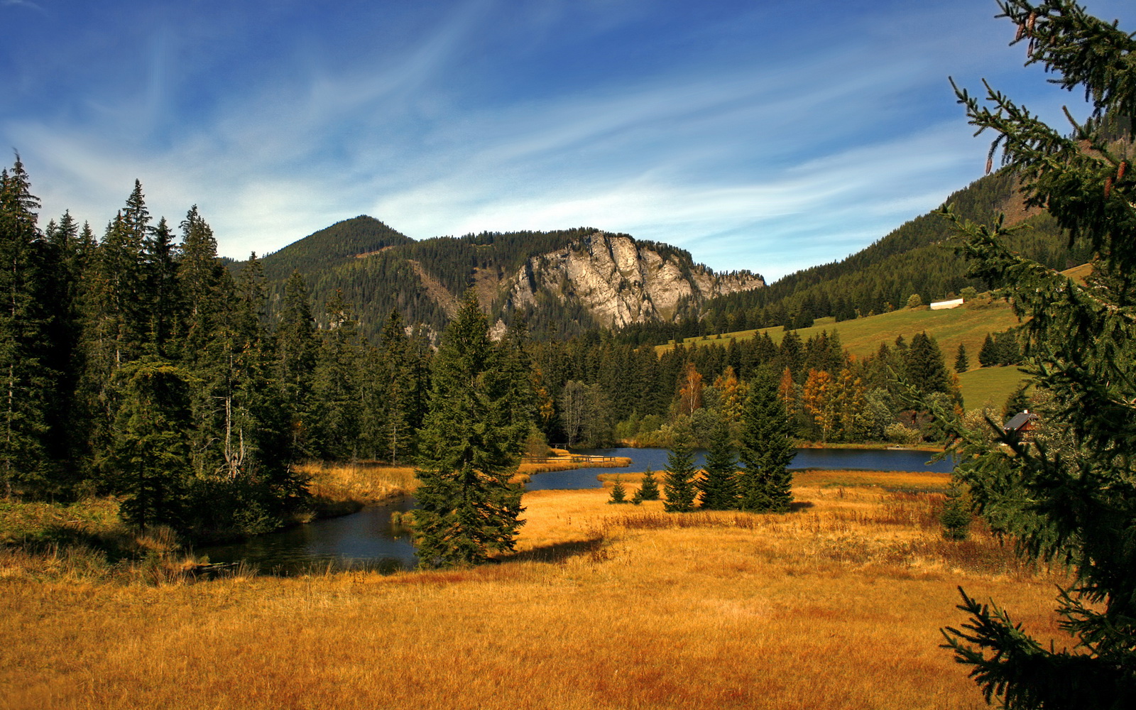 开云体育安全平台-陈芋汐跳台赛场表现引发网友热议，陈芋汐赛后采访哭了视频